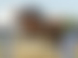 Growing Up at Fieldstone: Francesca Guidi