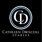 cds final logo (1).png