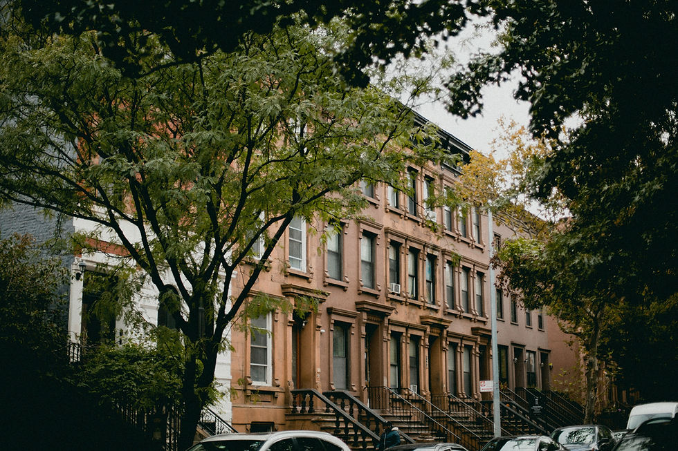 rachel-martin-4yCXNMLP9g8-unsplash.jpg