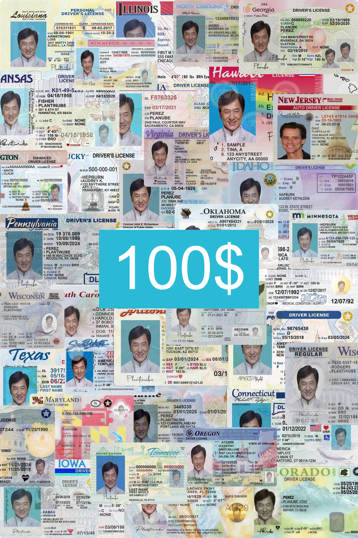 PACK de 50 LICENCIAS DE ESTADOS UNIDOS (USA - v1) editables en Photoshop PSD