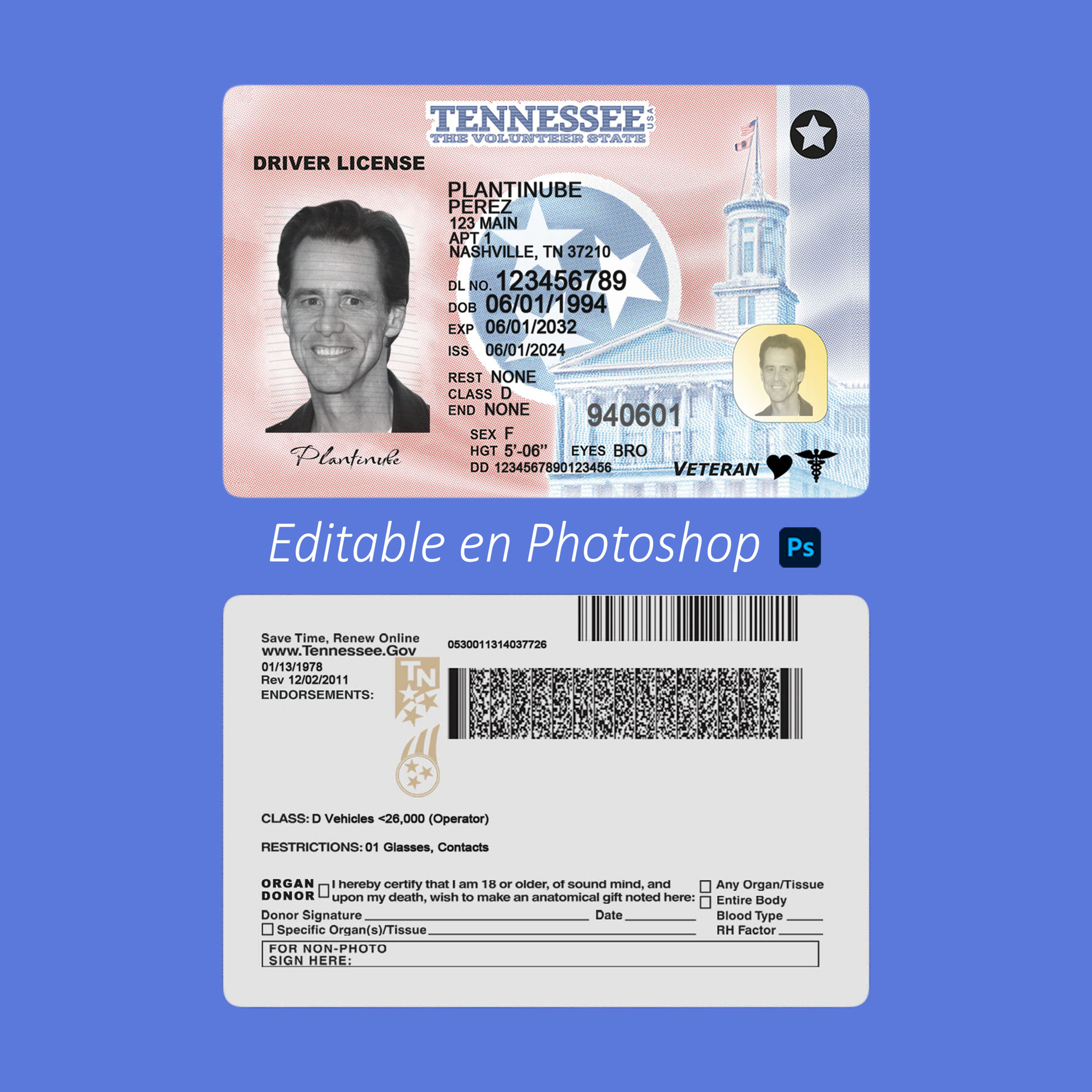 plantilla LICENCIA DE TENNESSEE (USA v2) editable en photoshop PSD