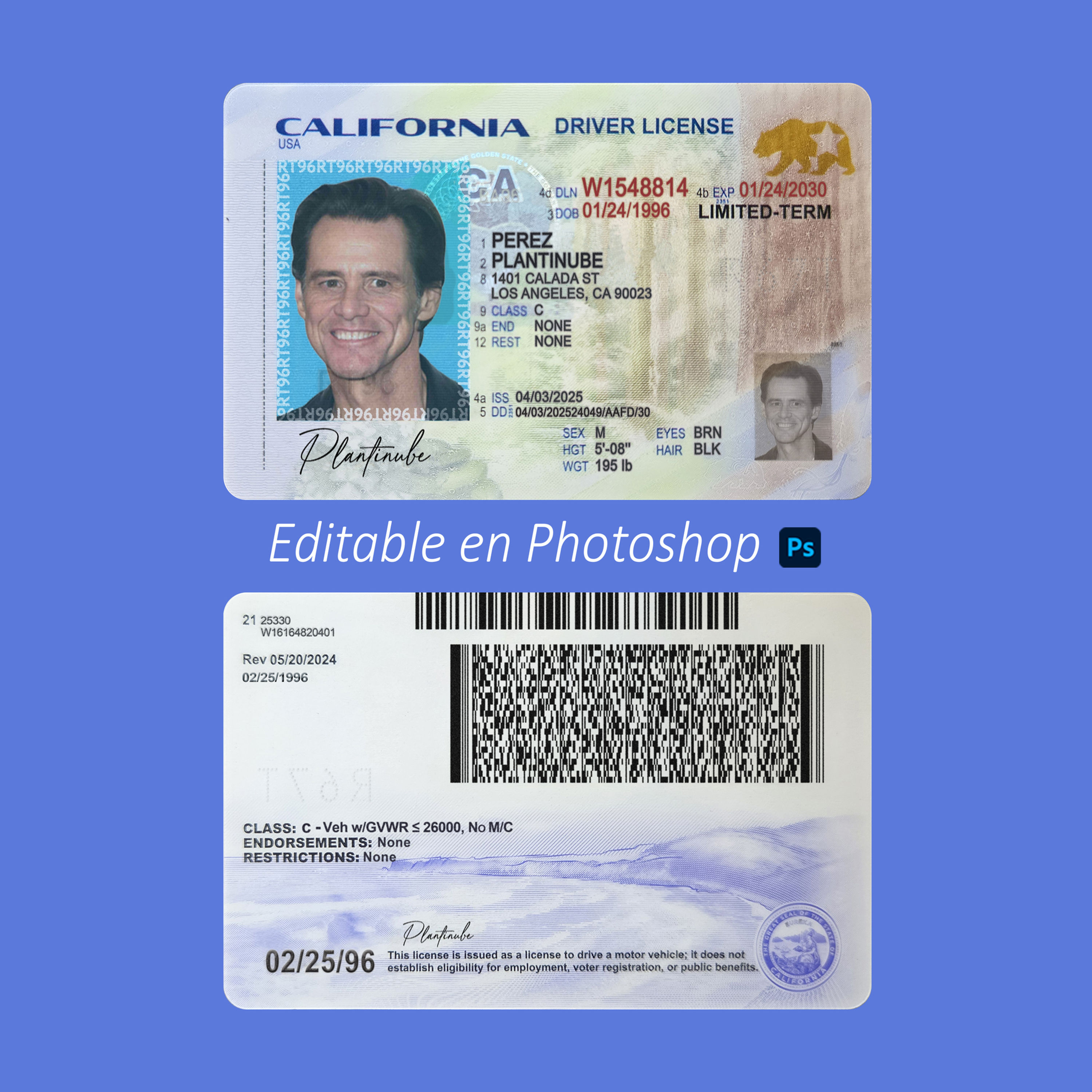 plantilla LICENCIA DE CALIFORNIA (USA - nueva) editable en photoshop PSD