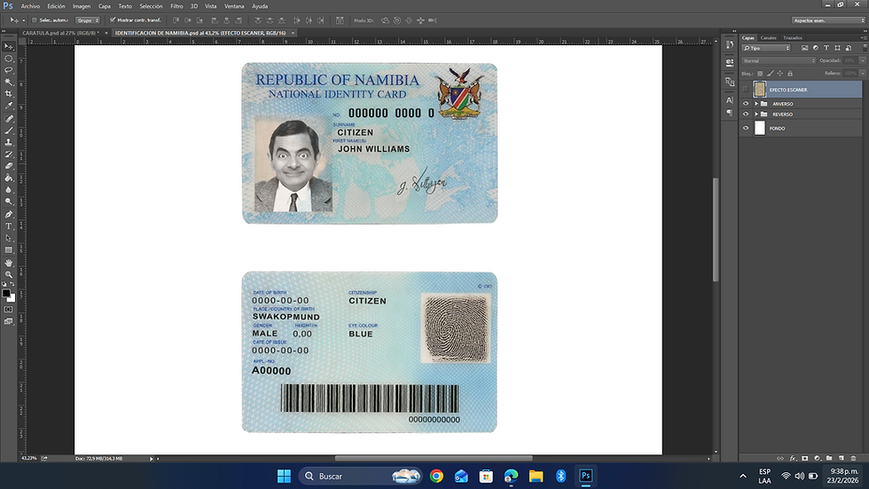 Miniatura: plantilla IDENTIFICACIÓN DE NAMIBIA editable en photoshop PSD