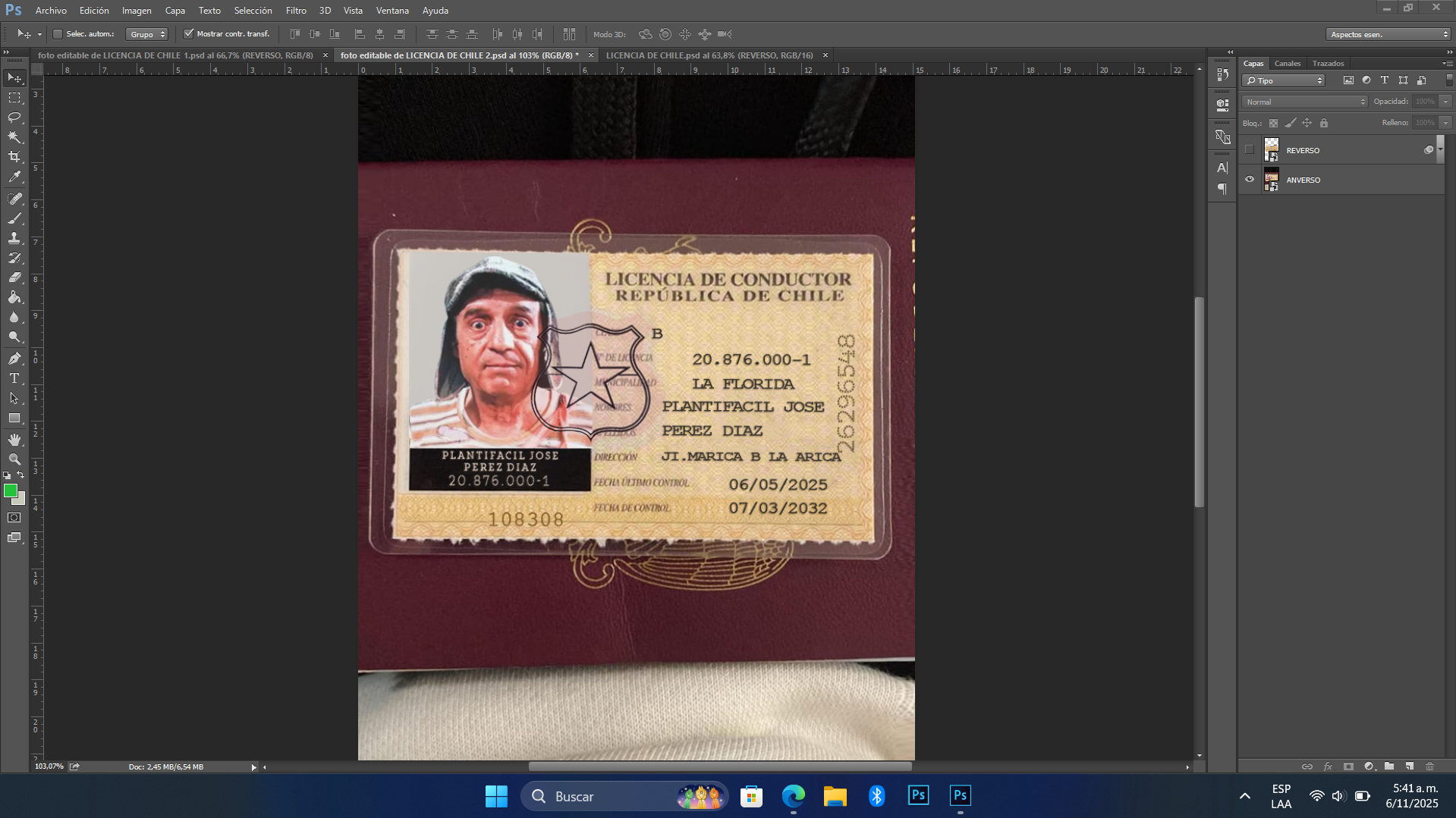 Foto editable de LICENCIA DE CHILE para verificar aplicaciones (2)