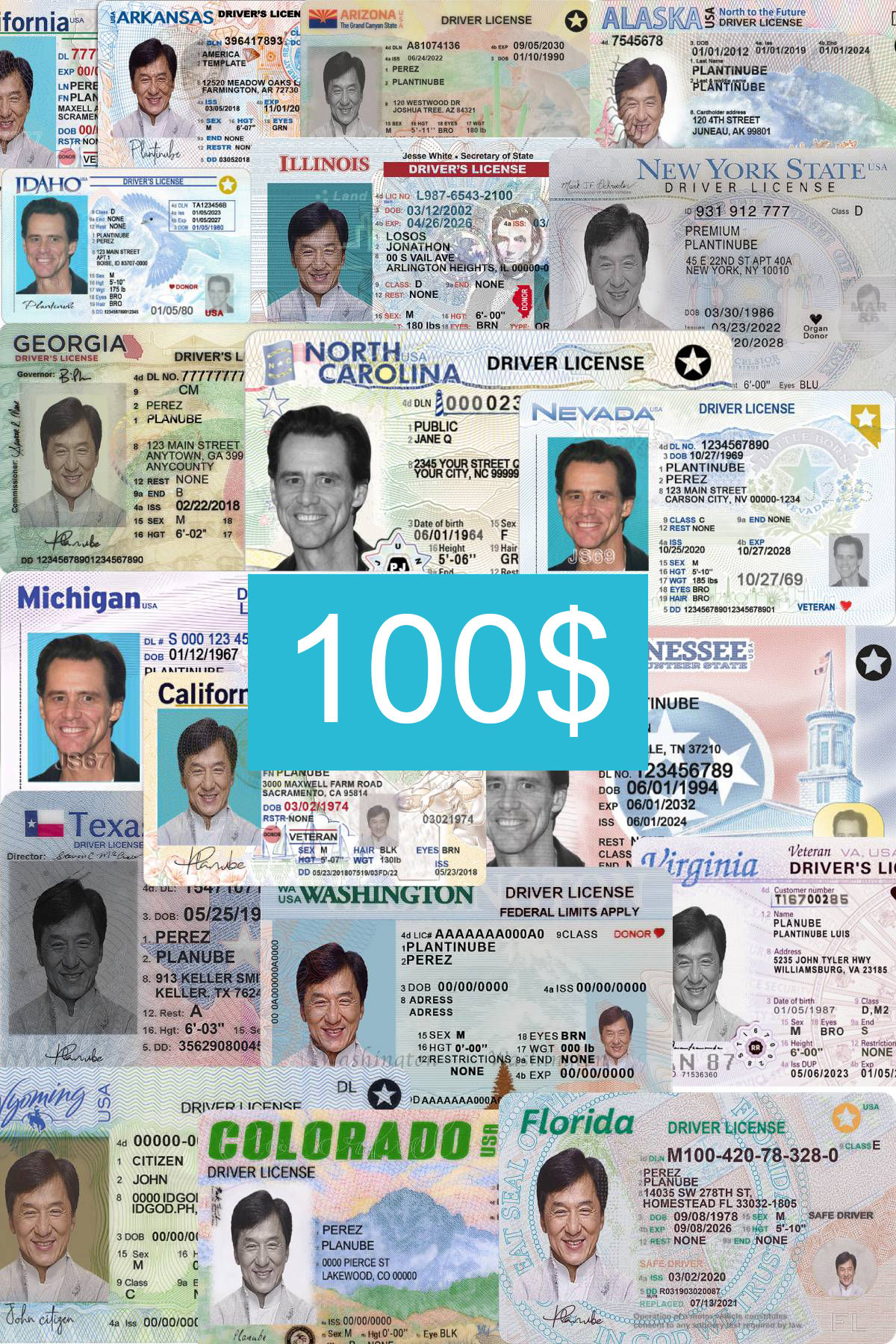 PACK de LICENCIAS DE ESTADOS UNIDOS (USA - v2) editables en Photoshop PSD