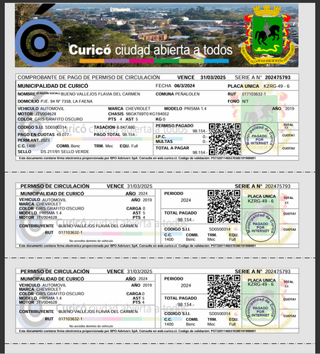 permiso-de-circulaci-n-de-chile-curic-editable-en-pdf-plantinube