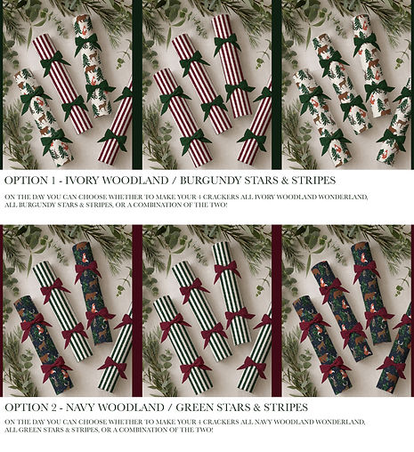 Christmas Cracker Workshop-02.jpg