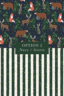 colour option 2.jpg