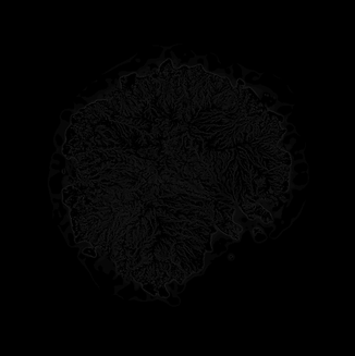 soil.png