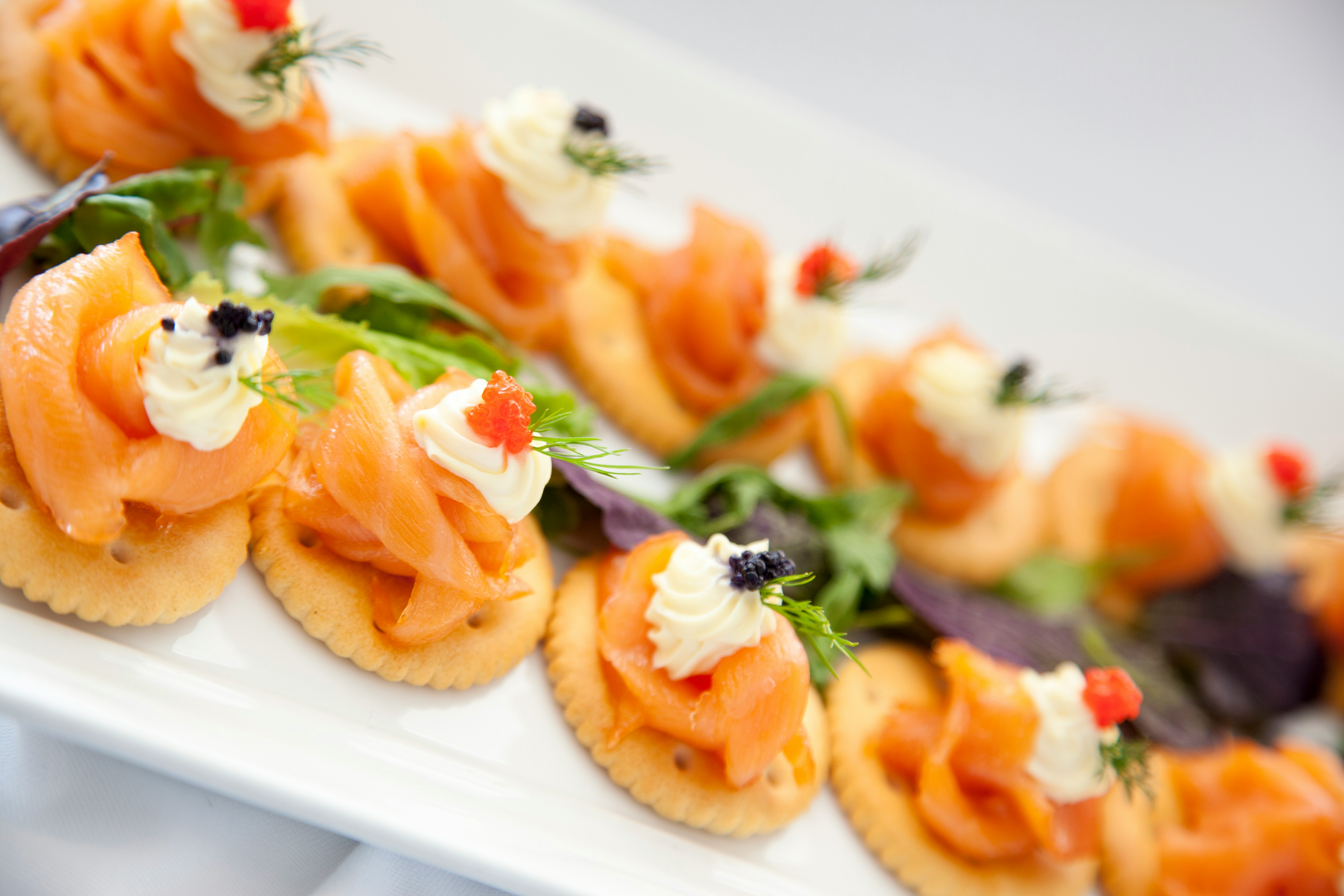 Arranged Food and Objects