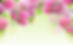 Free-Flower-Wallpaper-High-Resolution.jpg