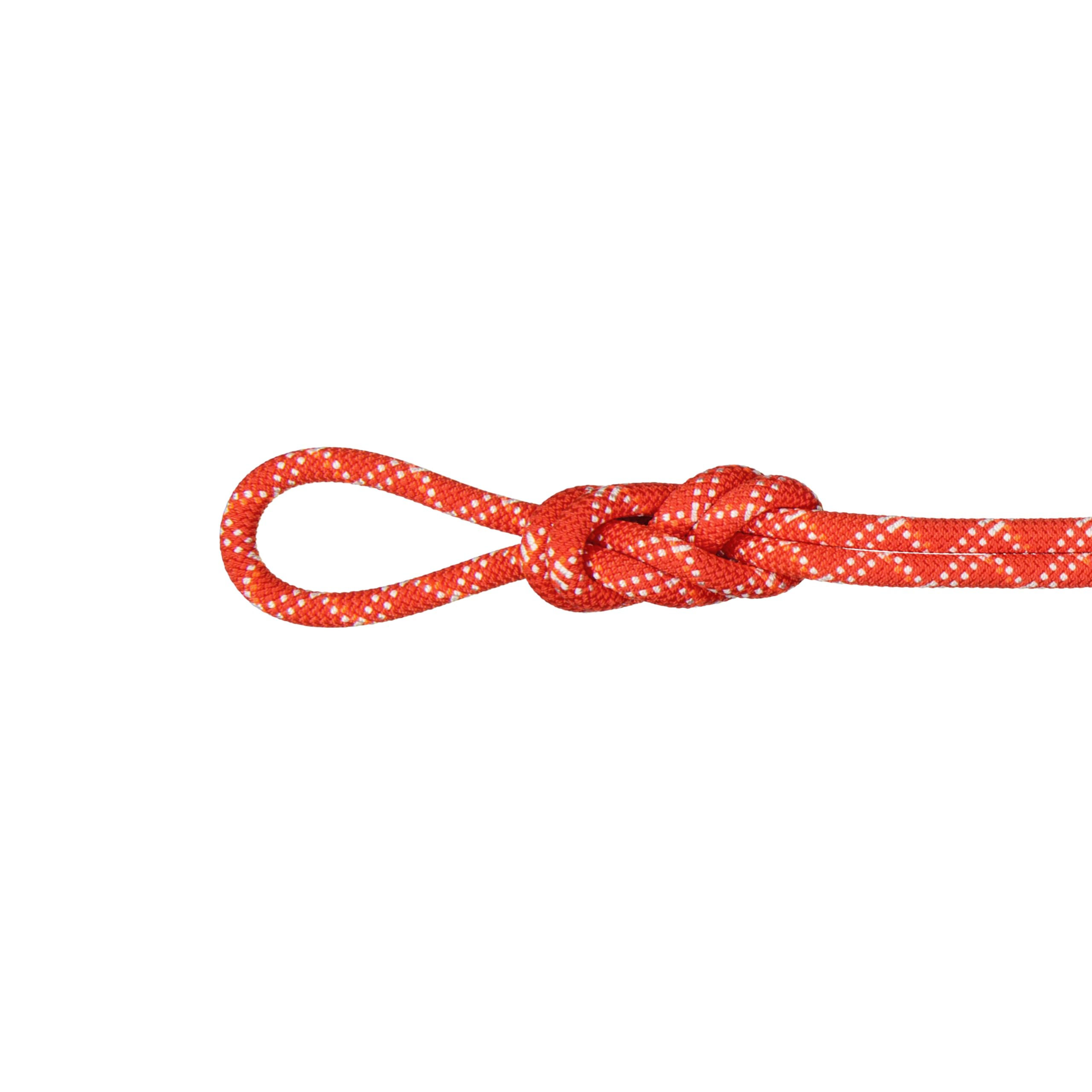 Mammut 9.5 Gym Classic Rope – 40m Raspberry/White