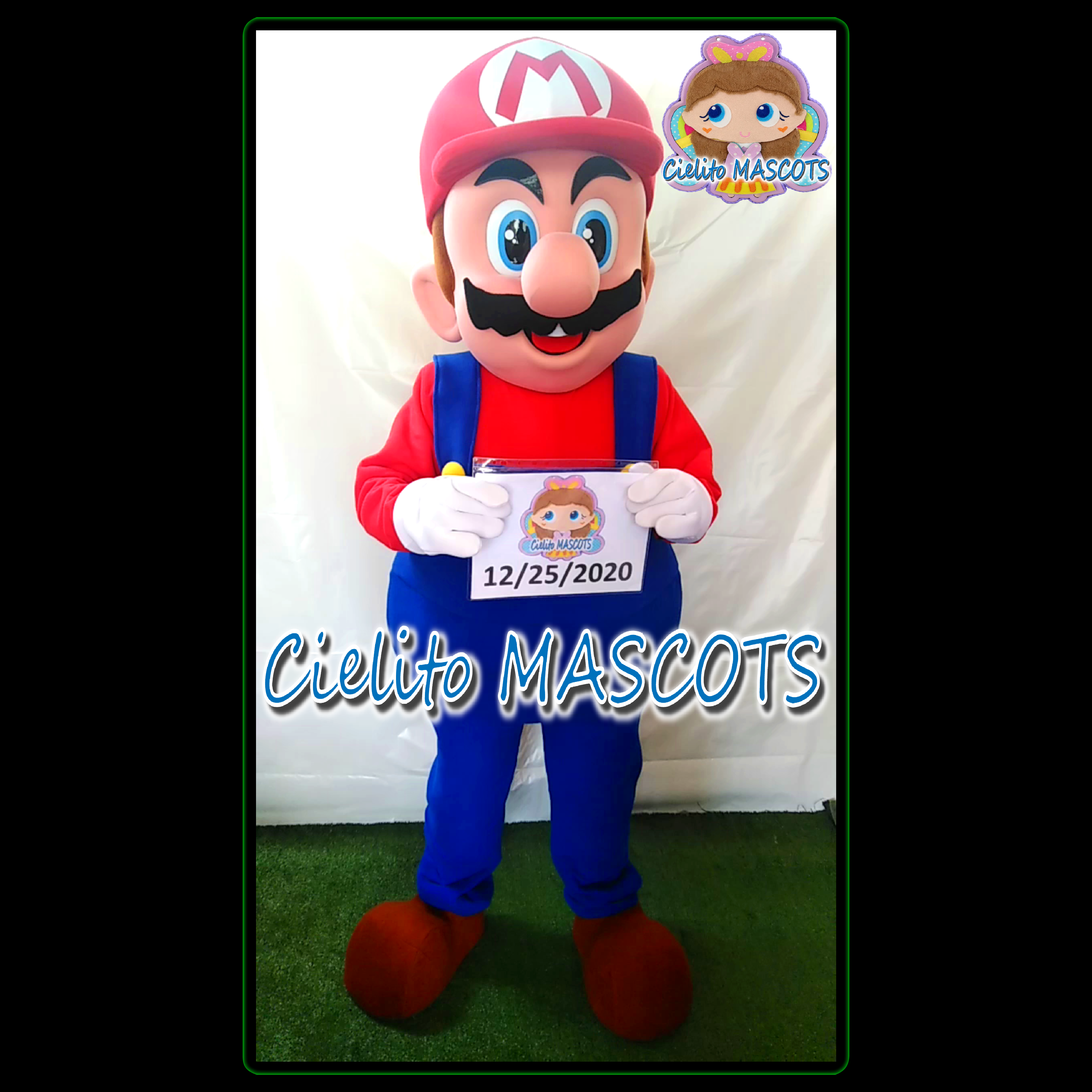 MARIO BROS Mascot - Costume