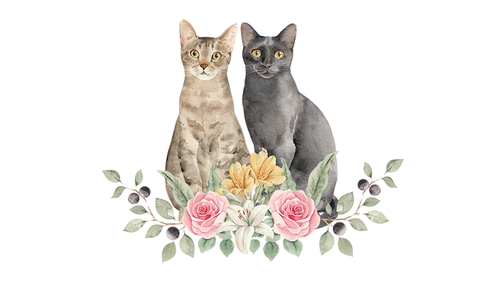 Site Casamento (6).png