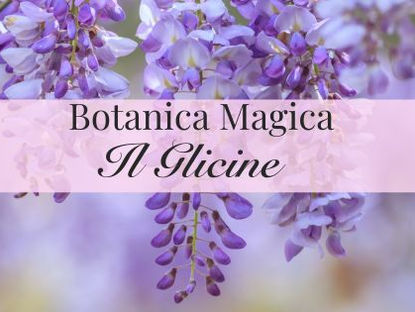 La magia del Glicine