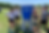 Screenshot 2024-10-10 at 3.54.57 PM.png
