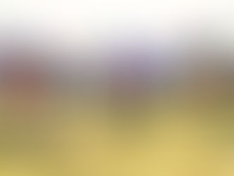 Welcome to Cabin Time Games- Card Games that Bring Together Kids and Families