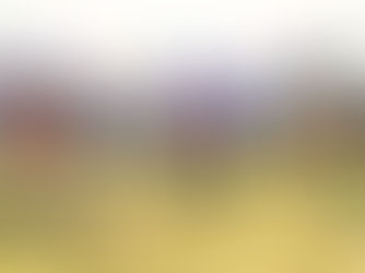 Welcome to Cabin Time Games- Card Games that Bring Together Kids and Families