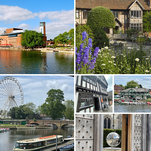 Untitled design (29).png