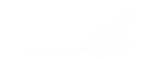 Untitled design-15_edited.png
