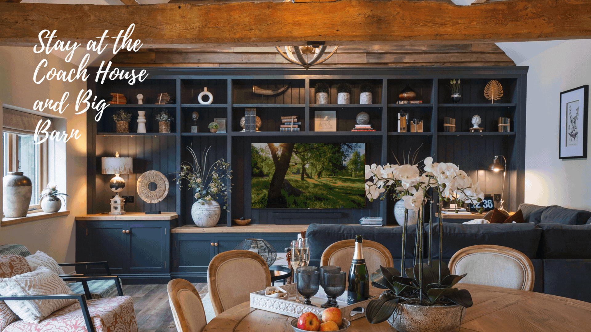 newsletter coach House & BB gif (2).gif