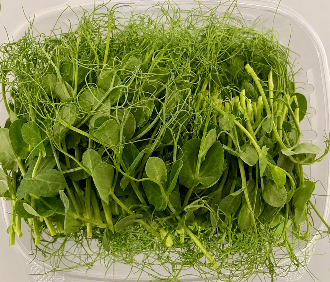 Pea Shoots Tendrils