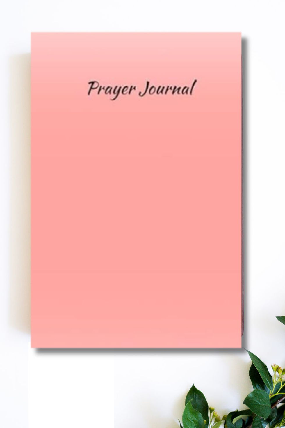Thumbnail: Salmon Prayer Journal | Guided Christian Journal