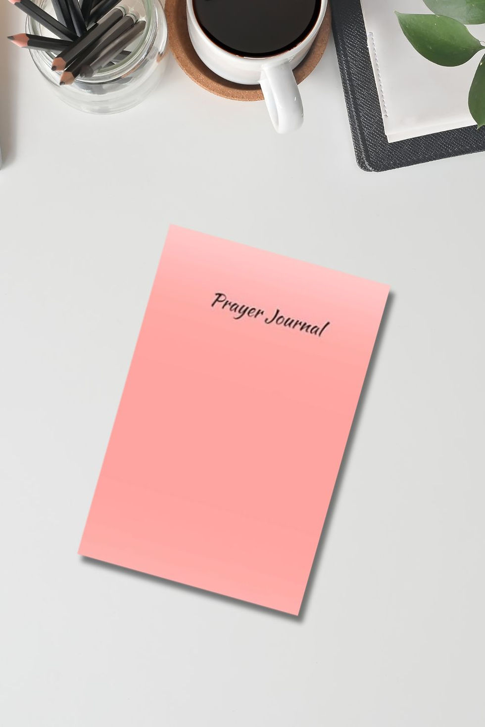 Thumbnail: Salmon Prayer Journal | Guided Christian Journal