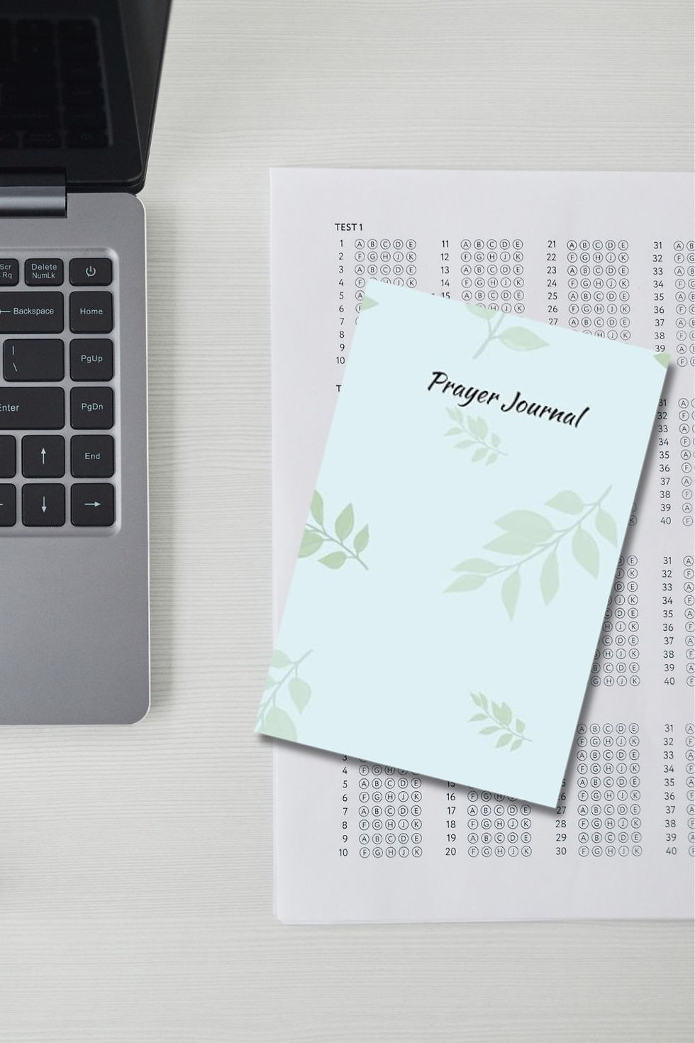 Thumbnail: Blue Leaves Prayer Journal | Guided Christian Journal
