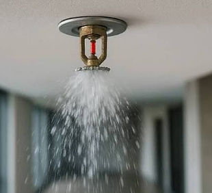 Fire Sprinklers.jpg