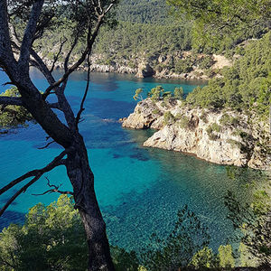 Vacances location six fours les plages var bord de mer