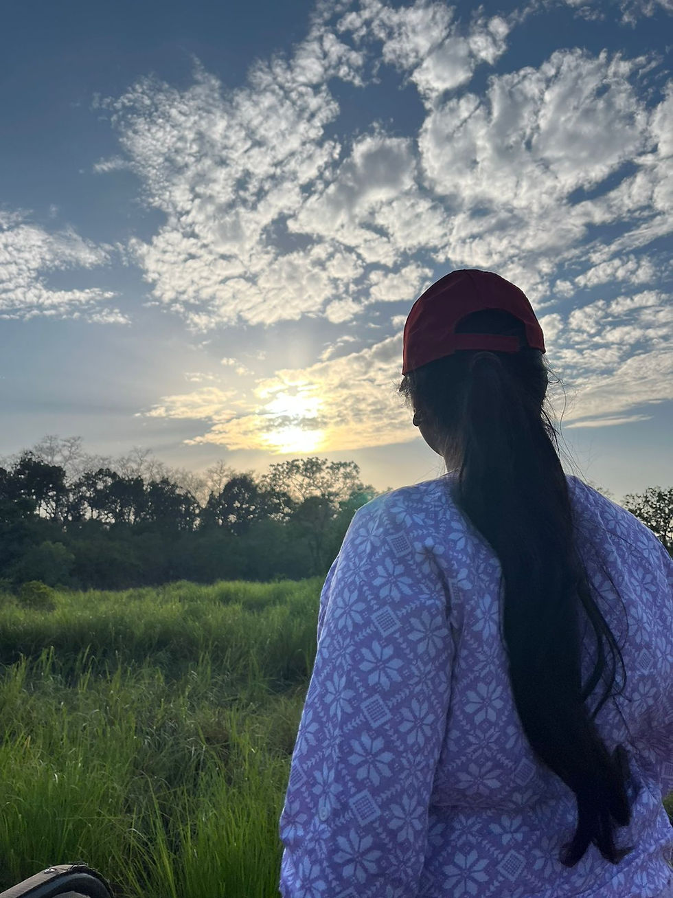 Blissful Sunset In Jungle