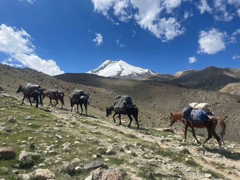 Mountaintop pack horses, Operation Reach