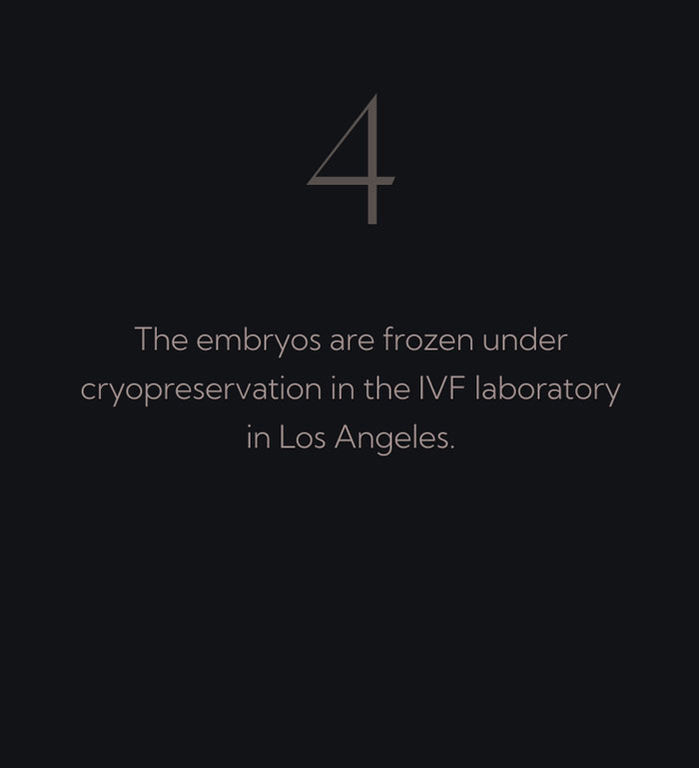 The embryos are frozen under cryopreservation in the IVF laboratory in Los Angeles.