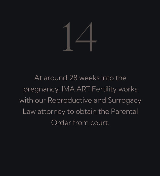 At around 28 weeks into the pregnancy, IMA ART Fertility works with our Reproductive and Surrogacy Law attorney to obtain the Parental Order from court.