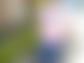 Salma Asman: A Story of strength and second chances