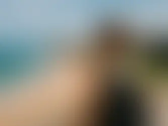 Puerto Rico Without a Tour: What to Do