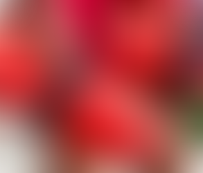 The Art of Lifeguard Scheduling: How Smart Facility Management Systems Improve Coverage, Breaks, and Safety