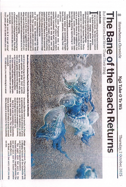 Screenshot 2025-10-14 124001.png