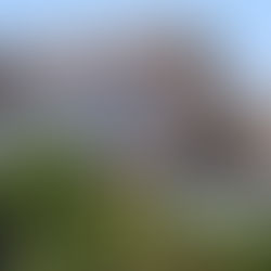 Solar Panels shown on a roof