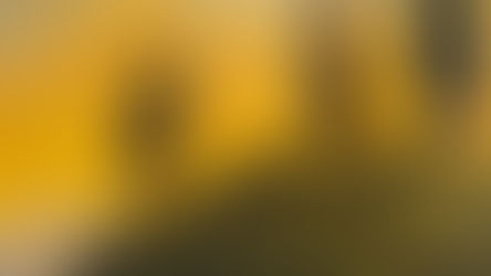 batının tabiat anlayışındaki dönüşümler