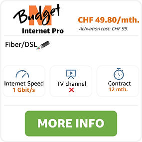 m-budget Internet Pro.jpg