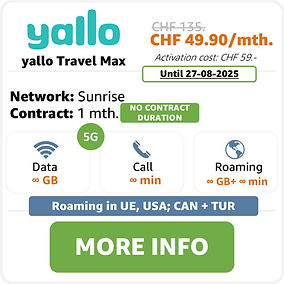 yallo Travel Max.jpg