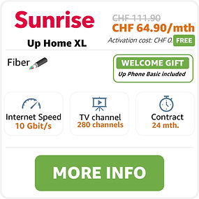 Up Home XL.jpg