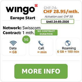 wingo Europe Start.jpg