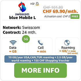 blue Mobile L.jpg