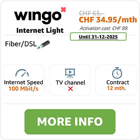 wingo Internet Light.jpg