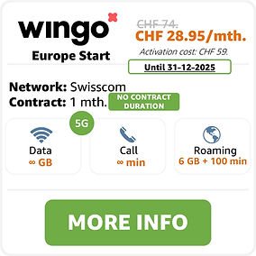 Wingo Europe Start.jpg