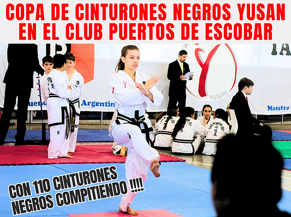 COPA DE DANES.png