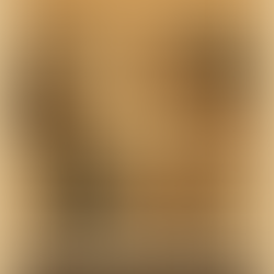 Büyük Buhran ve Yeni Cumhuriyetin Aşma Çabaları